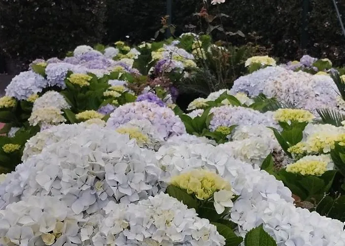 Classic Car House Apartment *